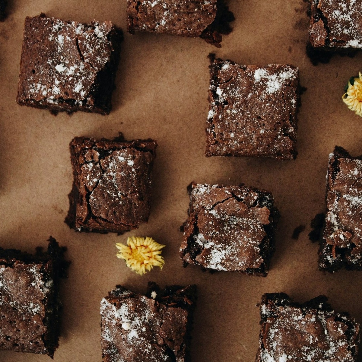 Warm Chocolate Brownie